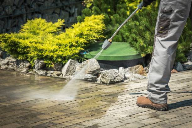 Reliable Willow Grove, TX Pressure Washing Services Solutions