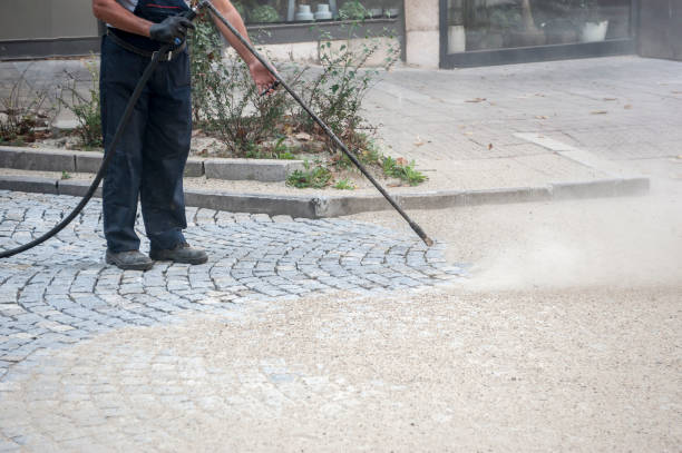 Pre-Holiday Cleaning in Willow Grove, TX